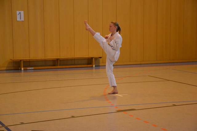 KAMPF » 2014 » Parchimer Eldepokal