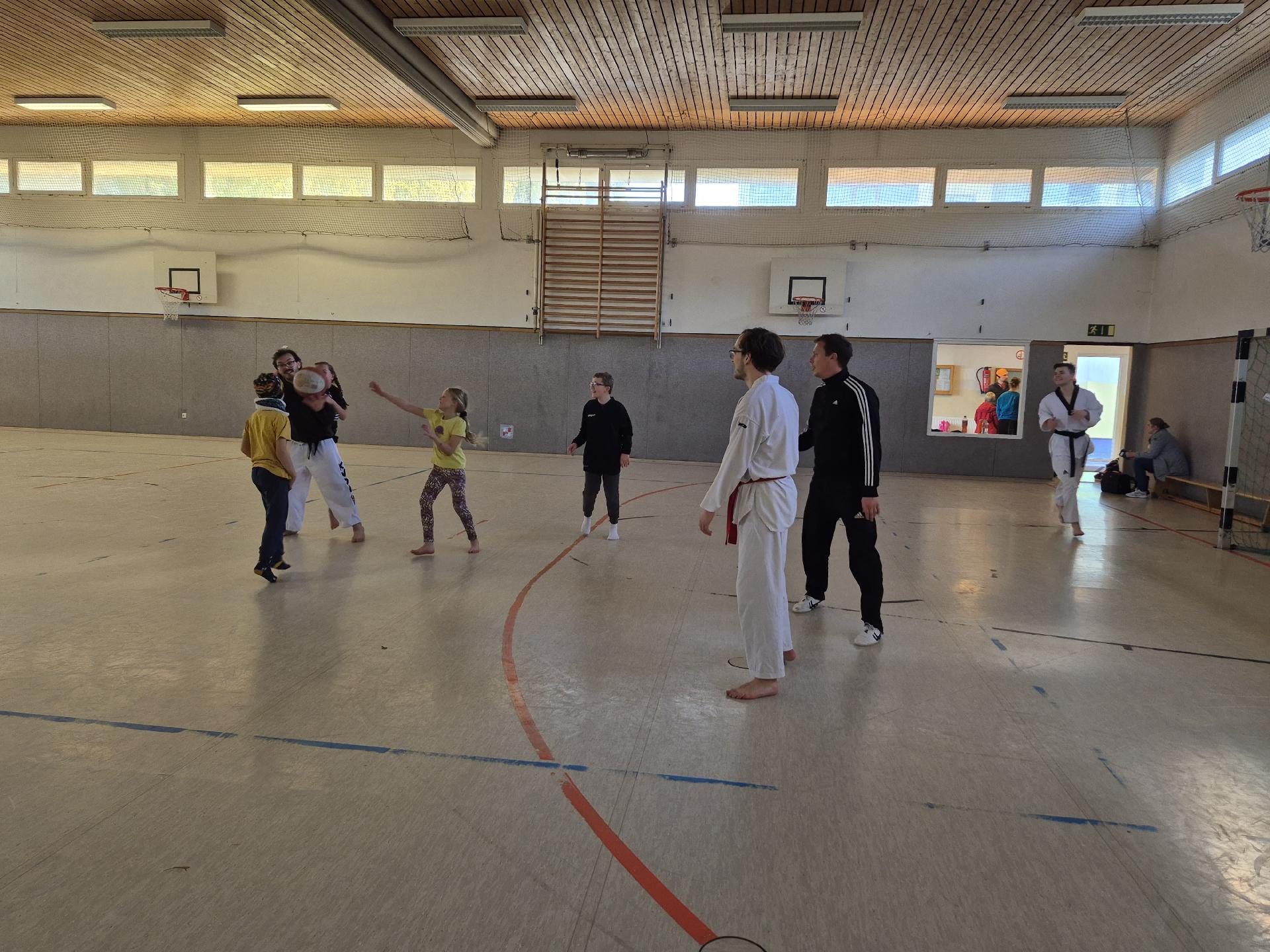 MIX » 2025 » Poomsaelehrgang
Poomsaelehrgang